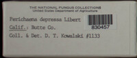 Image Associated With the Occurence